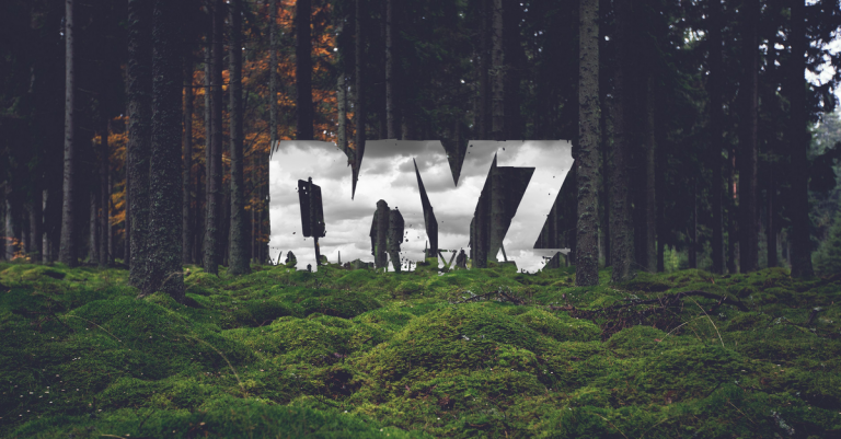 DayZ png
