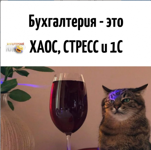 2026 05 06 13 43 11 png