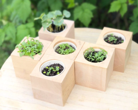 2026 02 21 15 36 03 png