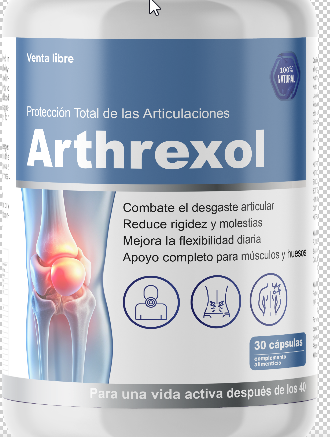 2026 03 12 12 31 48 png