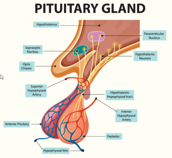 2025 12 22 10 25 15 png