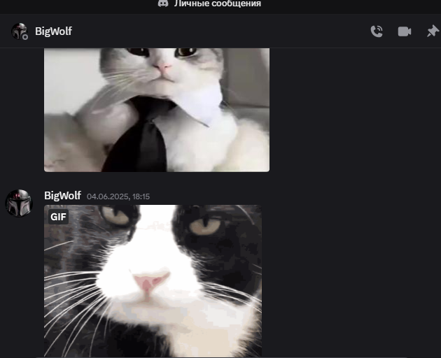2025 06 05 17 55 25 png