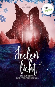 Jay Lahinch   Seelenlicht 2   Im Zentrum der Veränderung jpg