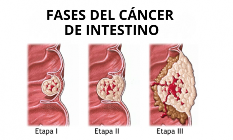 2025 12 08 11 08 44 png