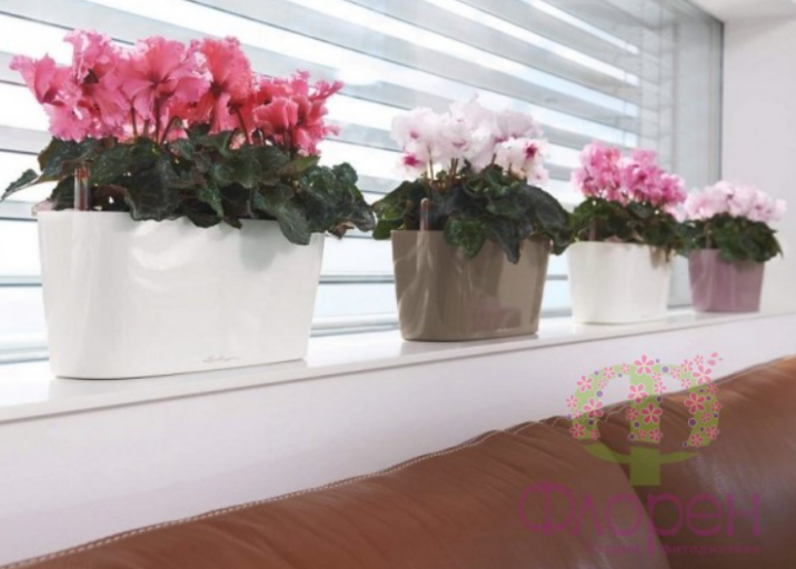 2026 03 09 10 31 53 png