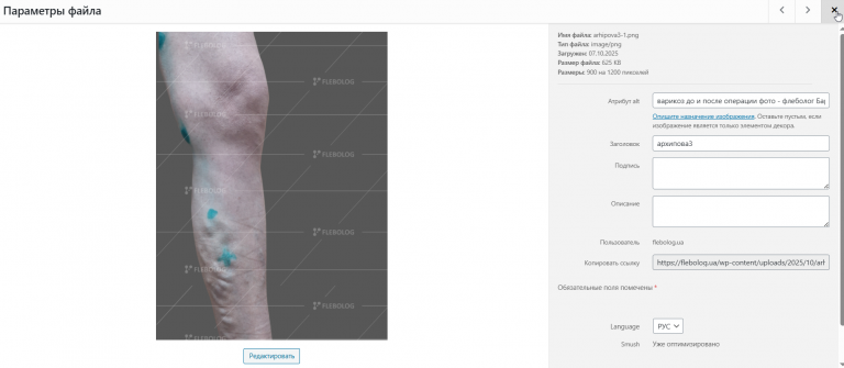 2025 11 14 16 06 29 png