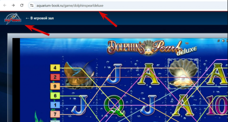 2025 11 27 14 56 05 png