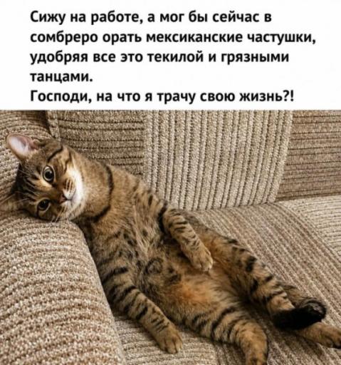 1785167121 jpg