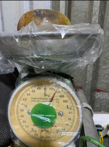 2025 11 24 13 44 40 png