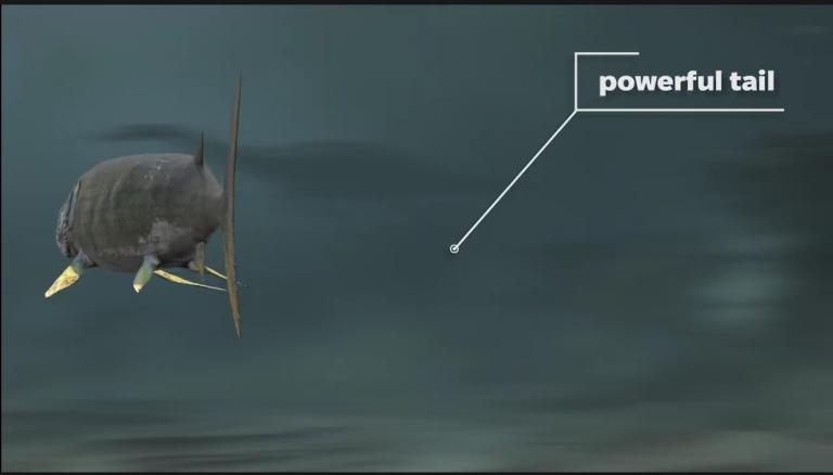 Screenshot 2026 01 19 104933 jpg