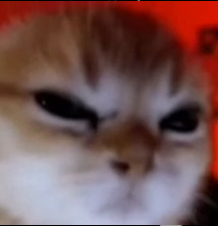 2025 12 01 17 09 48 png