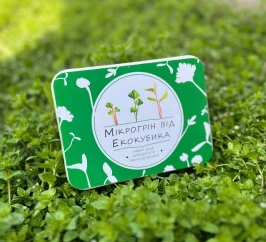 2026 02 24 12 42 15 png