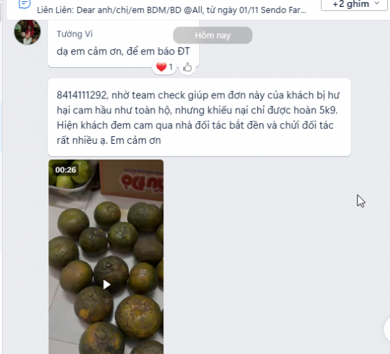 2025 11 27 20 40 36 png