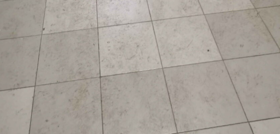 2025 05 18 13 28 36 png