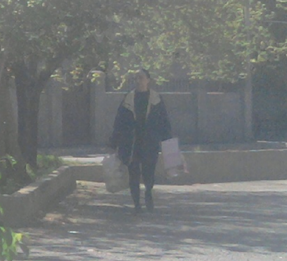 2025 10 31 07 29 44 png