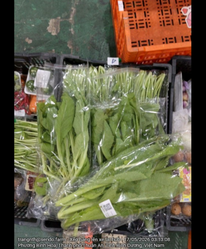 2026 05 17 13 57 25 png