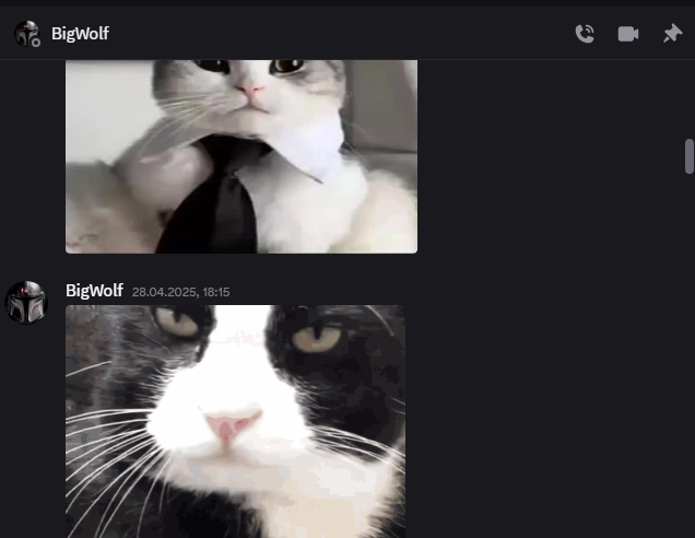2025 06 05 17 53 51 png