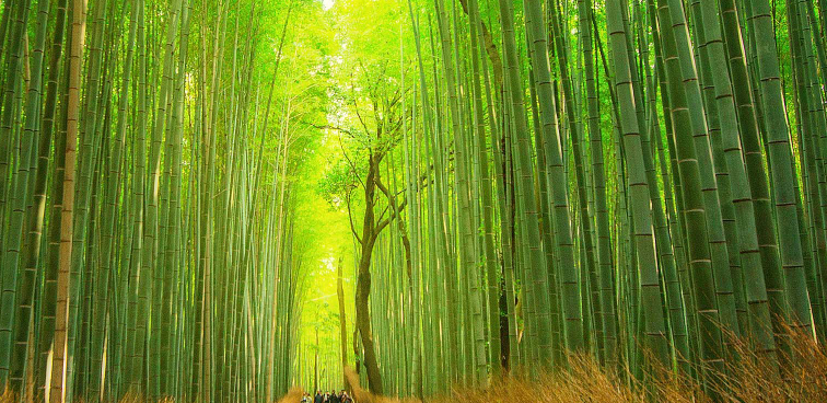 2025 12 01 10 55 35 png