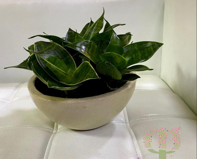 2026 03 10 11 23 23 png