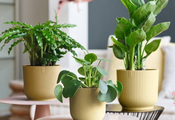 2025 12 03 19 33 05 png