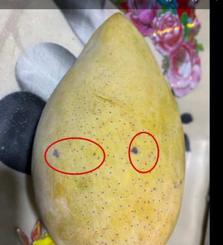 2026 03 17 17 42 49 png