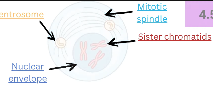 2026 04 26 20 26 06 png