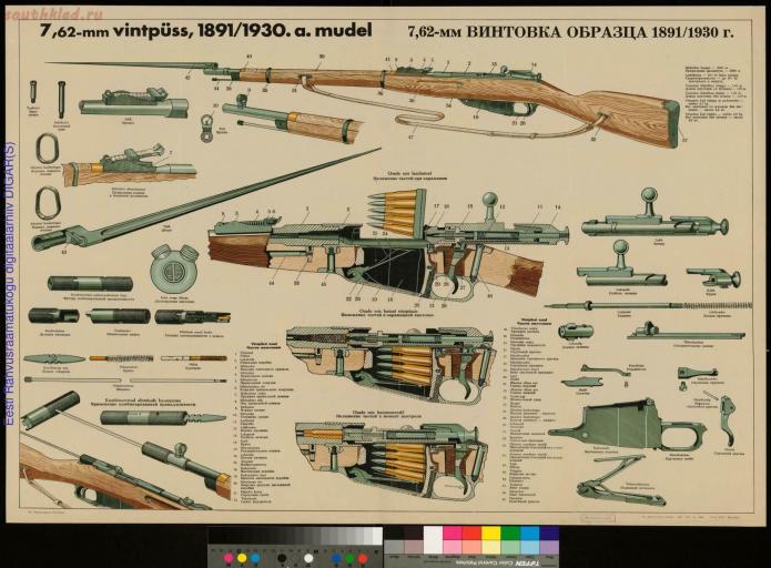 8 2  Винтовка Мосина  11108х8176  jpg