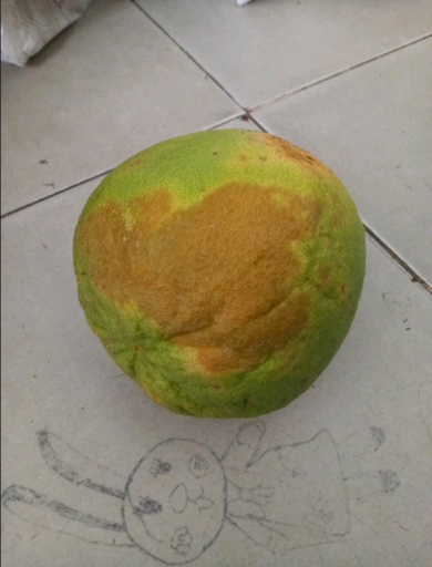 2025 10 22 18 58 57 png