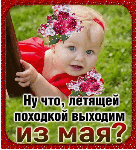 2025 05 31 08 49 29 png
