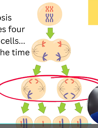 2026 04 27 19 45 21 png