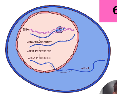 2026 04 27 20 24 21 png