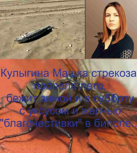 Кулыгина Машка стрекоза  лето пропела  бежит зимой и в субботу де благочестивкой с уксусом и желчью в биполе лжепоКаиния  jpg