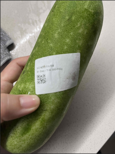 2025 11 03 21 40 42 png