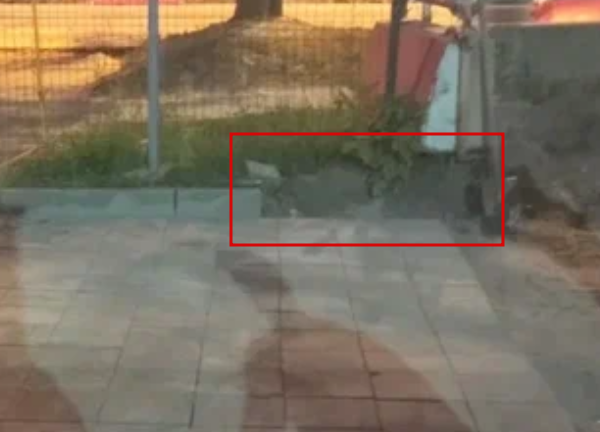2025 08 11 12 11 47 png