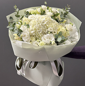 2026 04 22 11 41 16 png