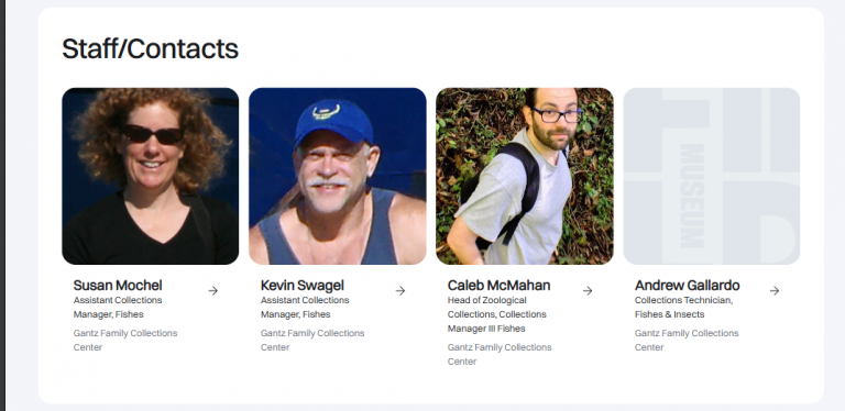 2026 02 03 17 38 17 png