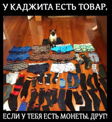 изображение 2025 06 23 091419749 png