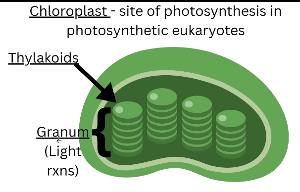 2026 04 26 18 20 51 png