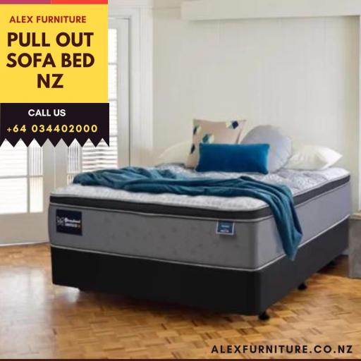 Pull out Sofa Bed NZ jpg