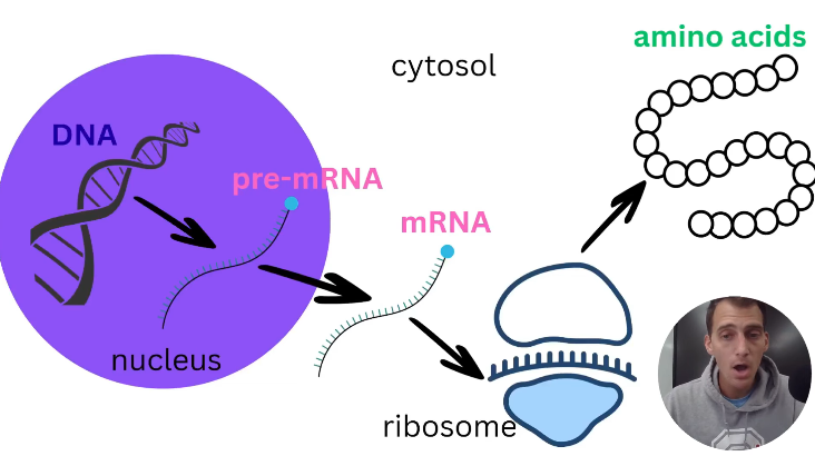 2026 04 27 20 24 10 png