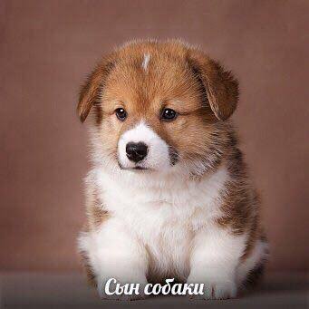 images  78  jpeg