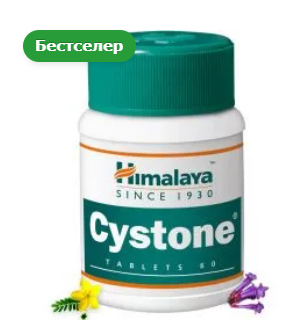 2026 04 11 17 20 18 png