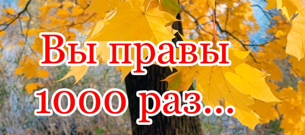 2025 09 25 22 22 32 png