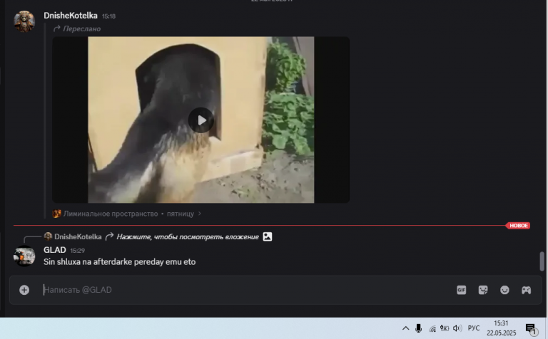 2025 05 22 15 31 08 png
