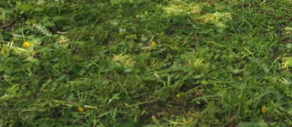 2025 05 29 16 15 07 png