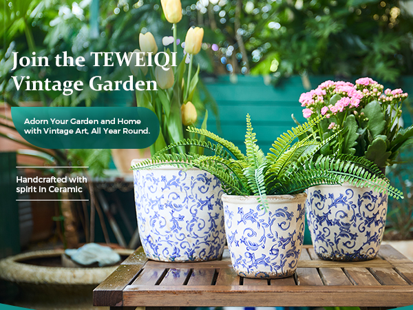 蓝钩藤手机端A   L 01 jpg