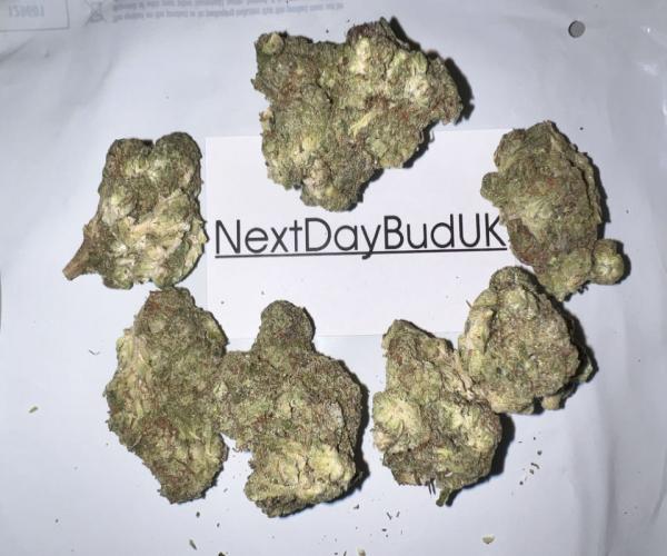 eo8Sr4kOCwp834CkHPBeSBPMWGkc2XIFYMAFUdqnujvutlPW8u jpg