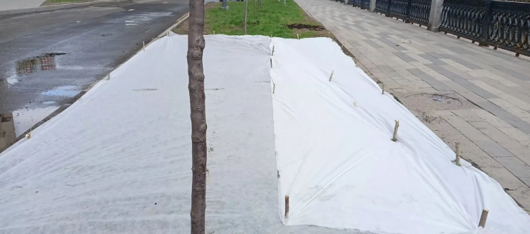 2026 04 18 19 04 29 png