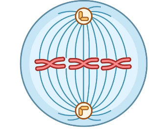 2026 04 26 20 28 03 png