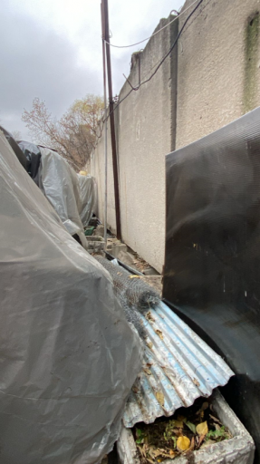 2025 11 03 14 45 32 png